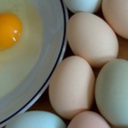 Учени върнаха сварено яйце в сурово състояние