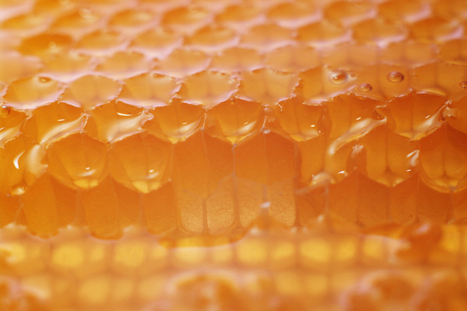 Най-популярните видове мед и ползите от тях