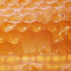 Нектарен пчелен мед