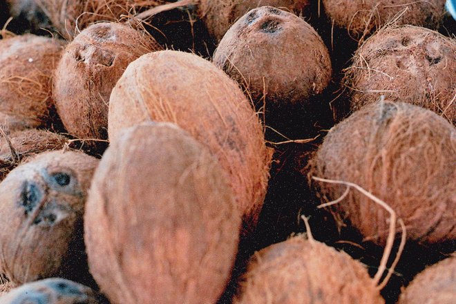 кокосов орех