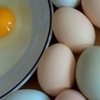 Яйца против стрес