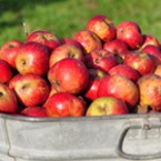 Ябълки за укрепване на организма