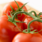 12 любопитни факта за доматите, които не знаете