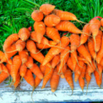 морков