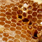 Естественият антибиотик - пчелен восък