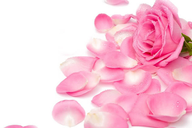 Розовото масло – не само ароматно, но и лечебно