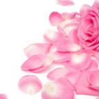Розовото масло – не само ароматно, но и лечебно