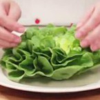 Medium zelena salata ot cheri domati shunka kashkaval i kiseli krastavichki