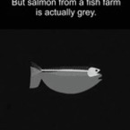 Medium shte nauchite za syomgata polezni neshta