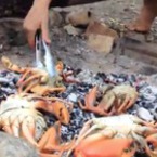 Medium ratsi s limon krave maslo i merodiya